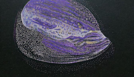 冥王星について